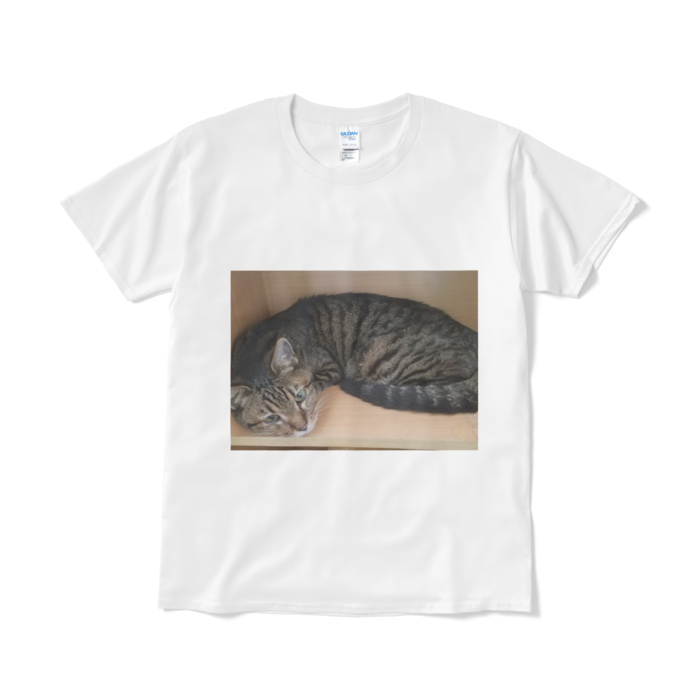 Tシャツ（短納期） - L - ホワイト