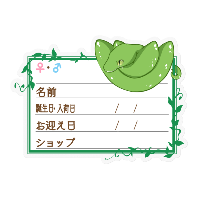 【🐍お名前ステッカー】グリンパイ(アルー) ‐ツタ