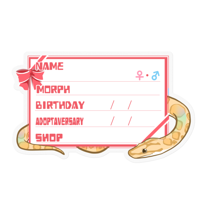 【🐍お名前ステッカー】コロニジ(パラディグマ) ‐リボン／ピンク(英語)