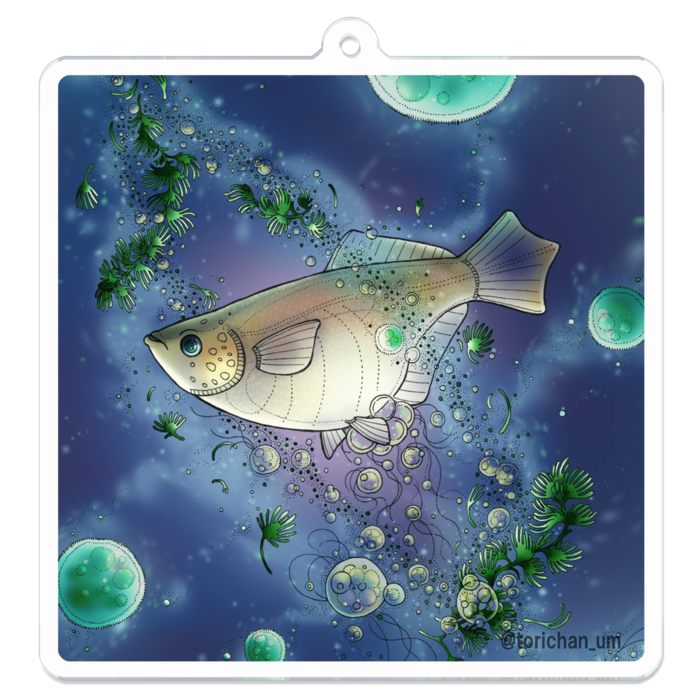 青　ー　70 x 70㍉／コーティングあり