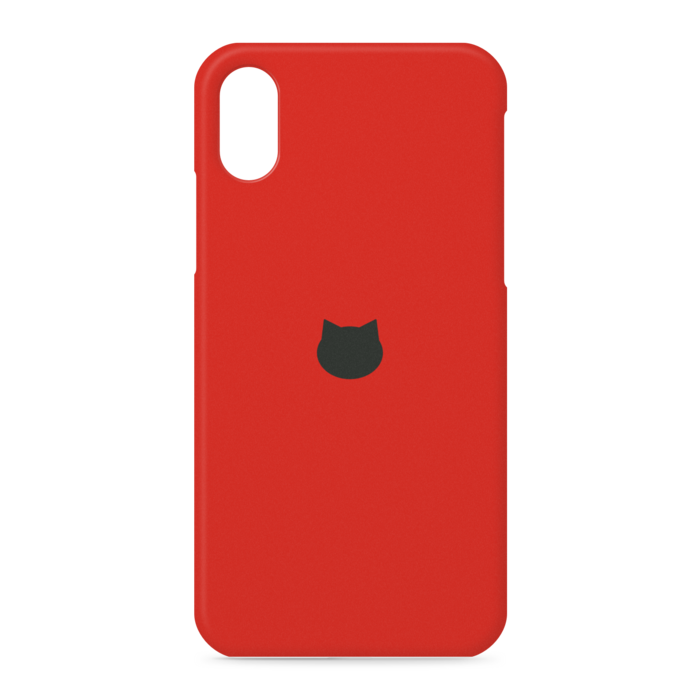 iPhone XS / X