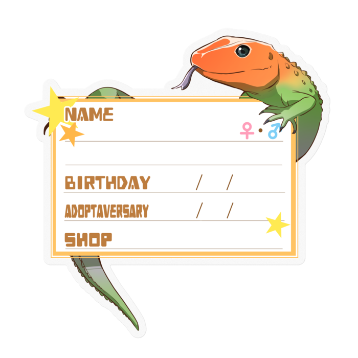 【🦎お名前ステッカー】カイマントカゲ-星(英語)