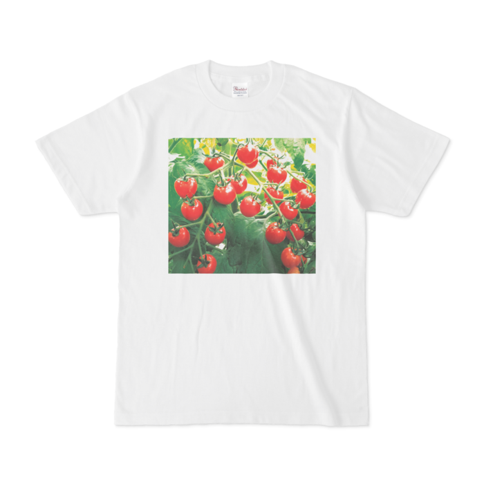 Tシャツ - S