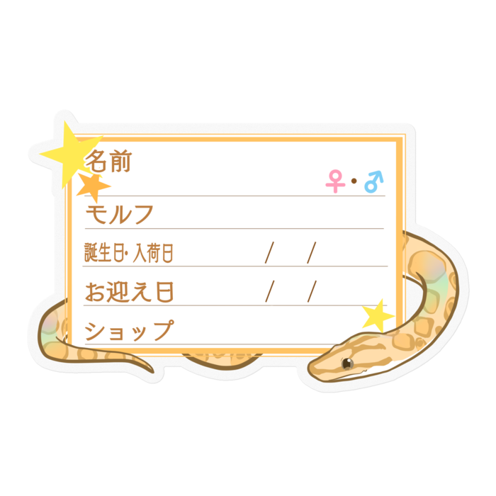 【🐍お名前ステッカー】コロニジ(パラディグマ) ‐星