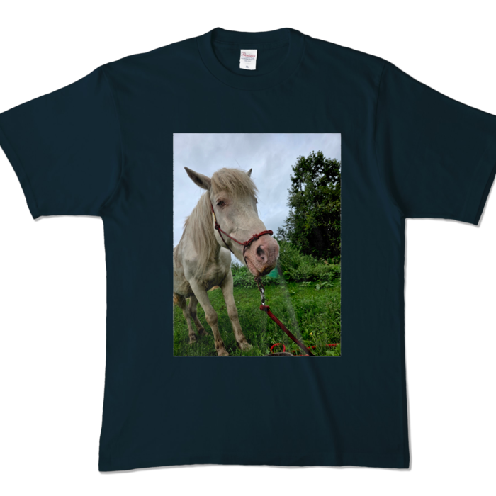 カラーTシャツ - XL - ネイビー (濃色)