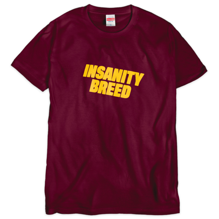 Tシャツ（シルクスクリーン印刷） - XL - 1色(2)