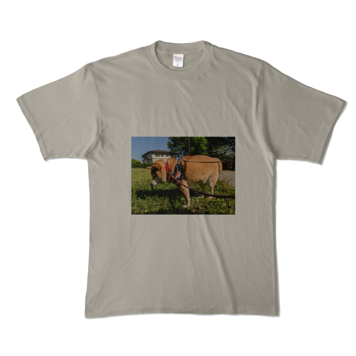 カラーTシャツ - XL - シルバーグレー (淡色)