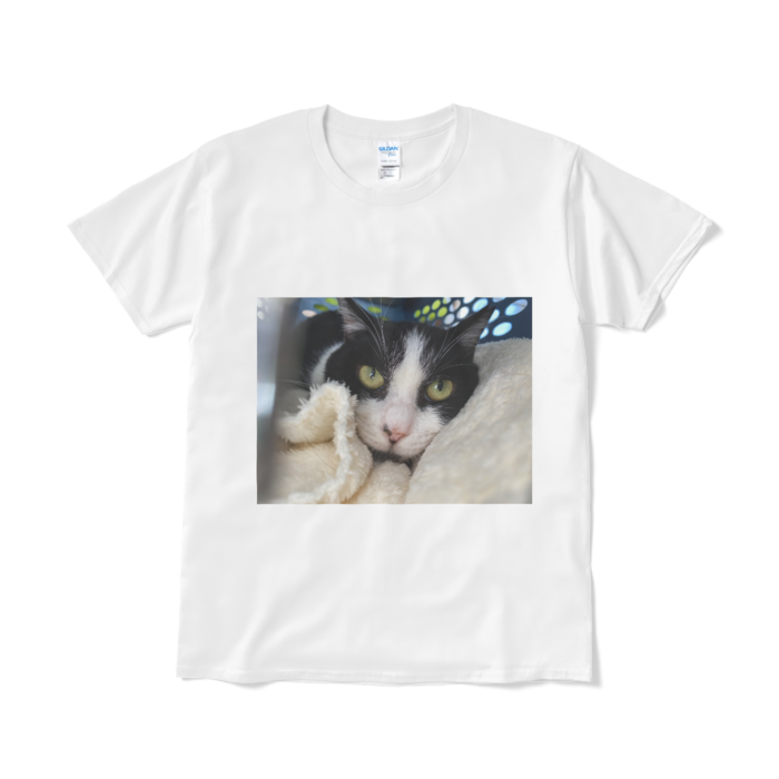 Tシャツ(短納期) - L - ホワイト
