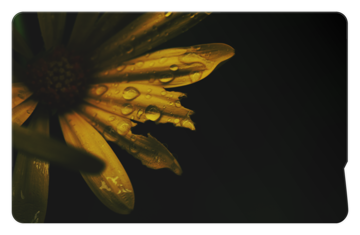 ICカードステッカー - 約85.7x53.9(mm)