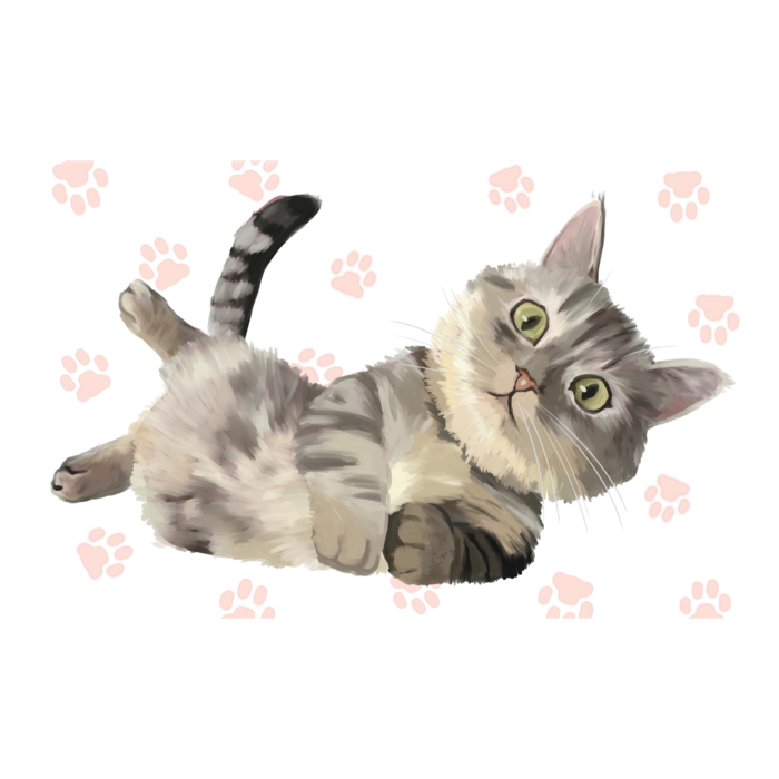 ICカードステッカー - 約85.7x53.9(mm)