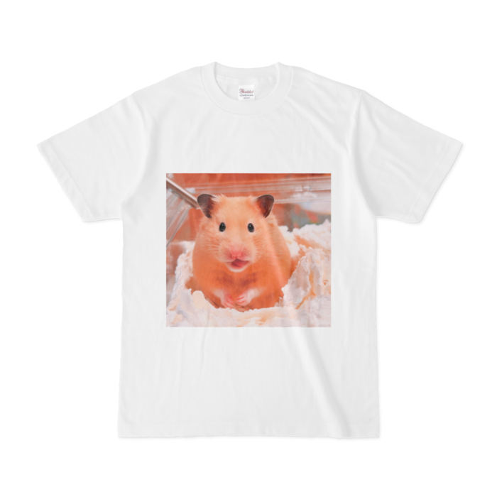 Tシャツ - S - 白