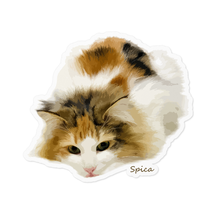 ステッカー - 100 x 100 (mm)