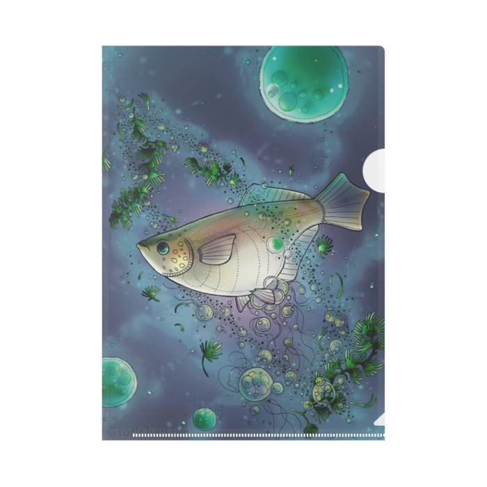 めだか宇宙　B5