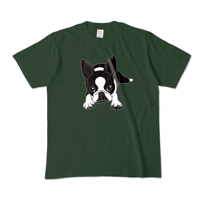 カラーTシャツ - M - フォレスト (濃色)