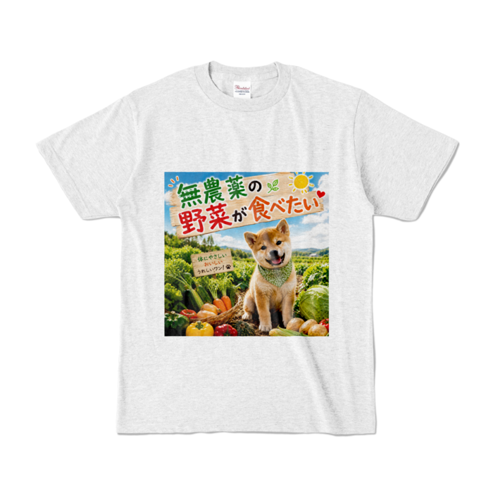 カラーTシャツ - S - アッシュ （淡色）