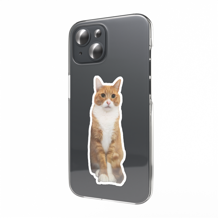 スマホステッカー - W55 × H91mm 以内