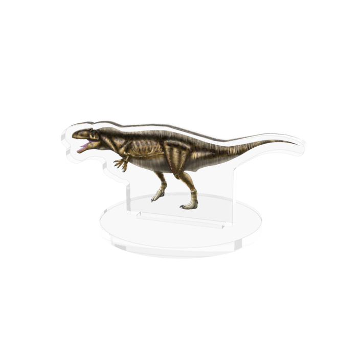 アクリルフィギュア -アクロカントサウルス- 70x70mm
