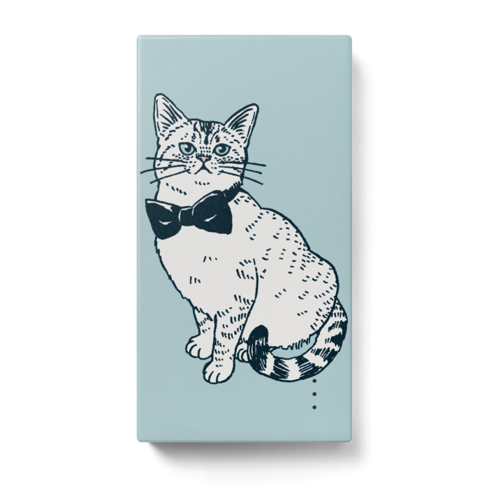 モバイルバッテリー - 123 x 65 (mm)