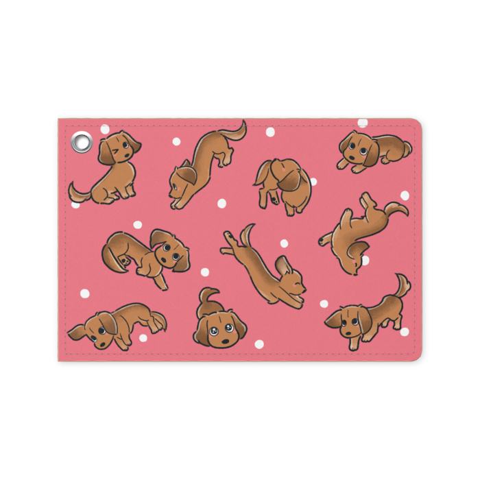 パスケース - 70 x 105 (mm)