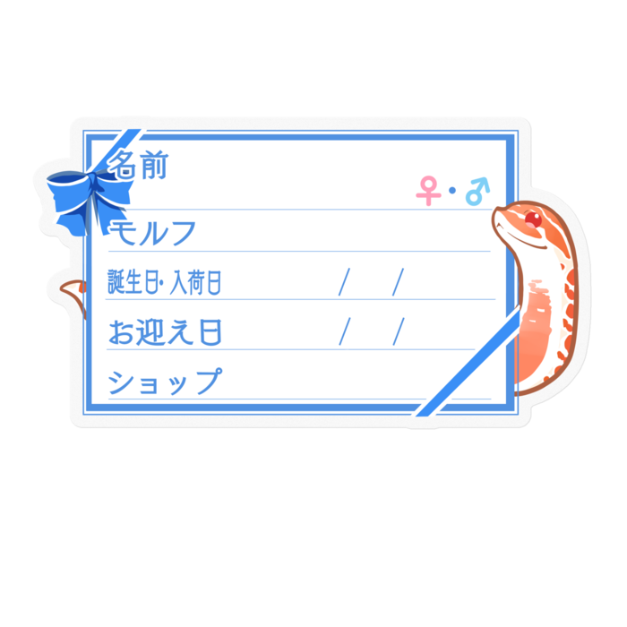 【🐍お名前ステッカー】シシバナ(エクストリームレッドアルビノ) ‐リボン/ブルー