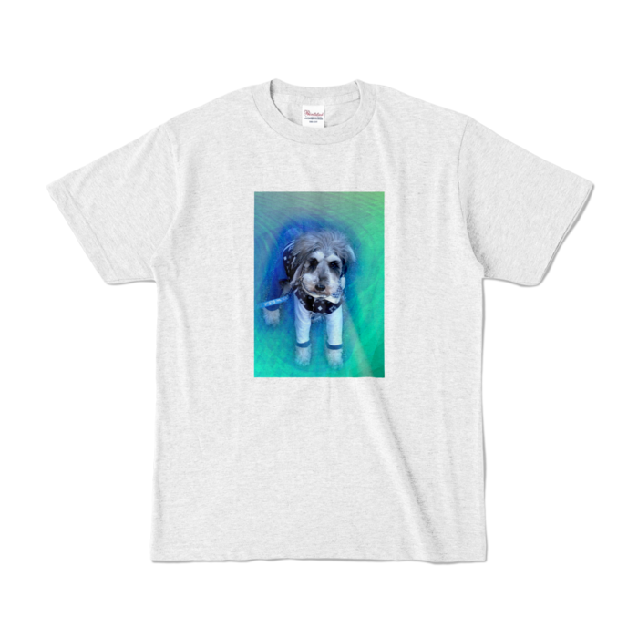 カラーTシャツ - S - アッシュ (淡色)