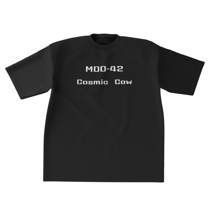 ビッグシルエットTシャツ - XL - 両面(3)