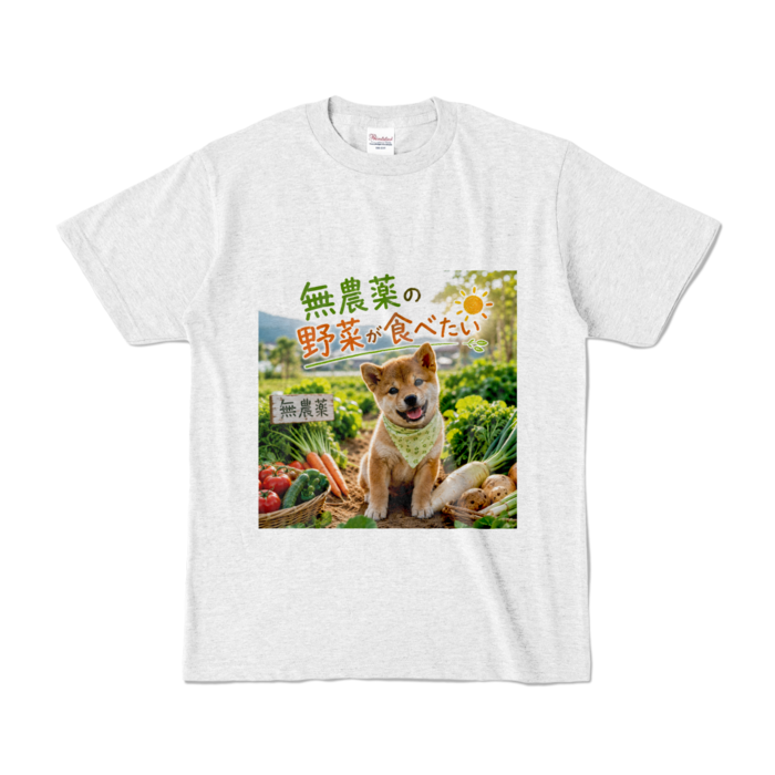 カラーTシャツ - S - アッシュ （淡色）