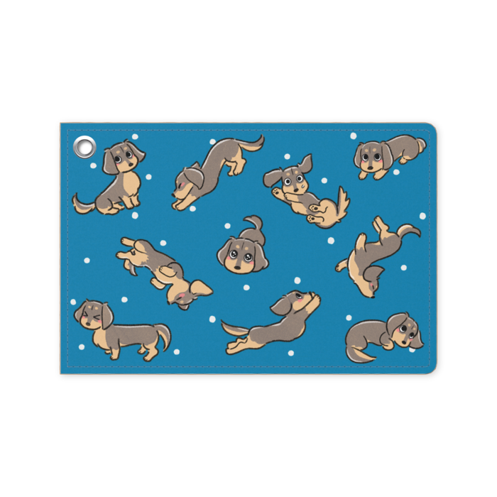 パスケース - 70 x 105 (mm)