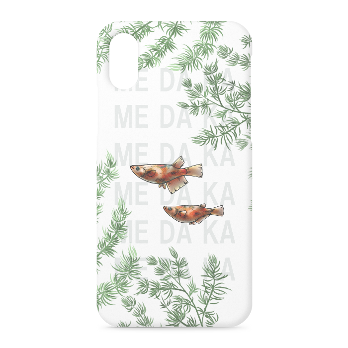 XS / X - 側面あり