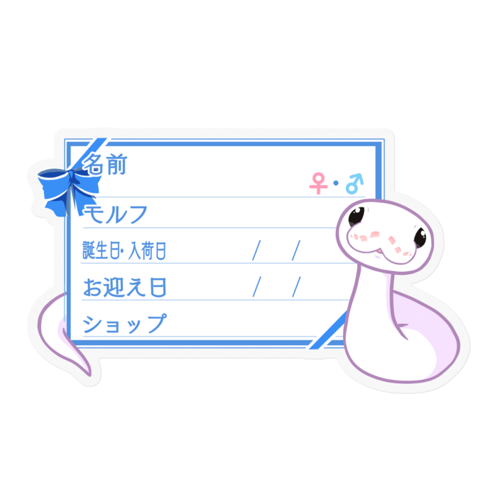 【🐍お名前ステッカー】ボールパイソン(スーパーファイアミニ) ‐リボン/ブルー