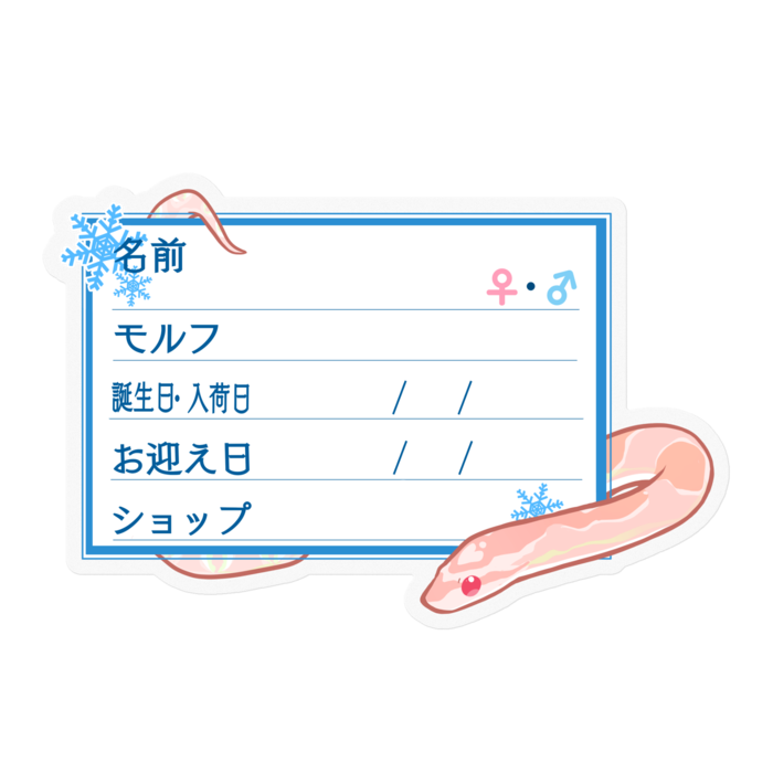 【🐍お名前ステッカー】コーンスネーク(サーモンスノー) - 雪