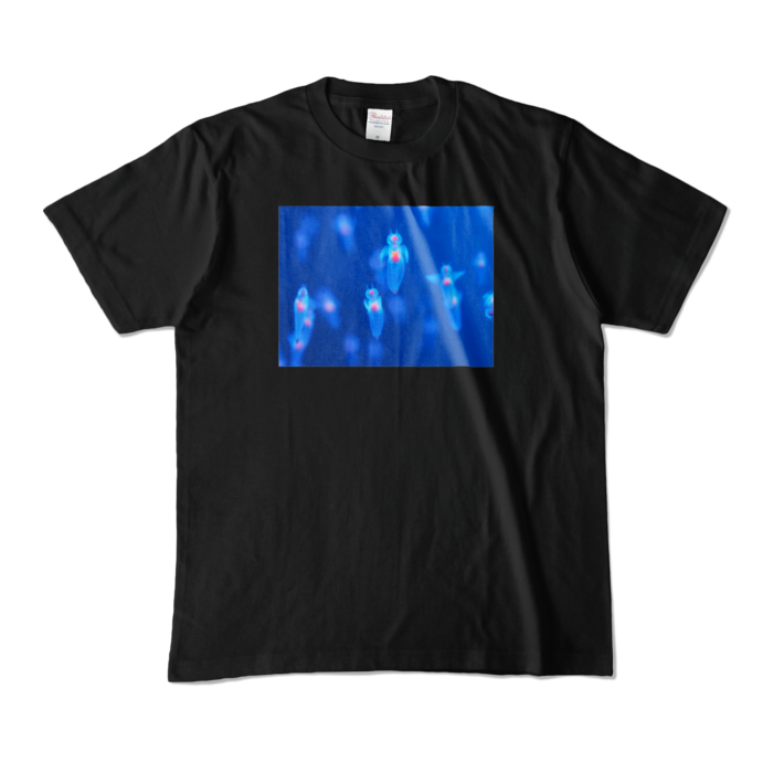 カラーTシャツ - M - ブラック (濃色)