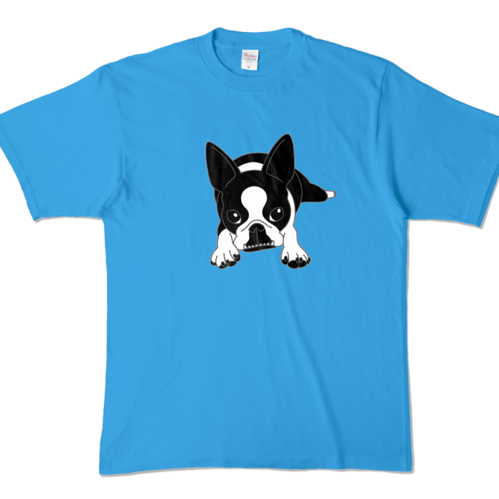 カラーTシャツ - XL - ターコイズ (濃色)