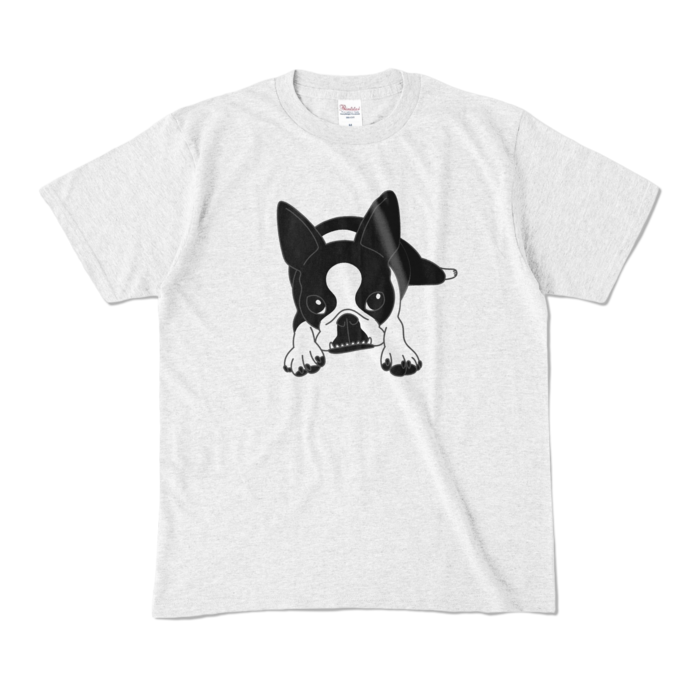 カラーTシャツ - M - アッシュ (淡色)