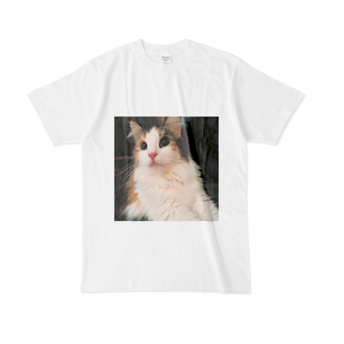 Tシャツ - L - 白