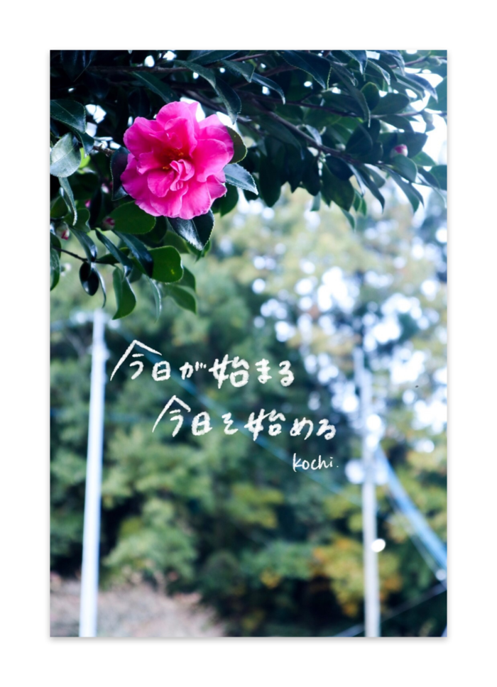 ポストカード(10枚セット) - 竹はだGA180kg