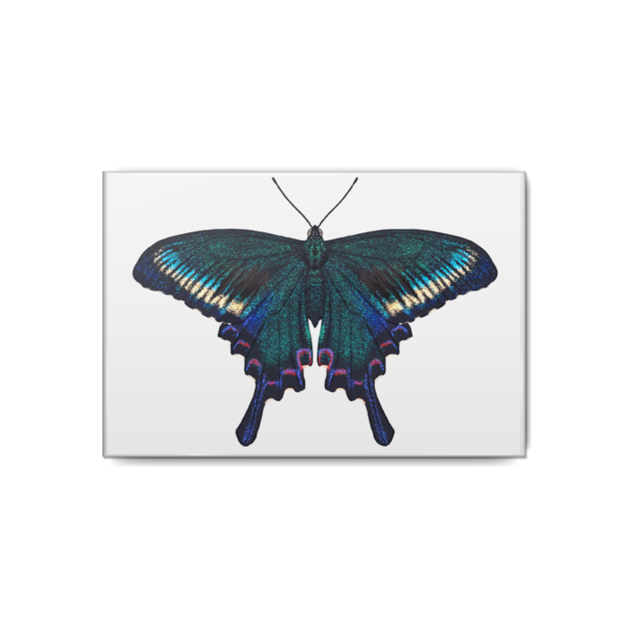 缶バッジ - 80x54mm