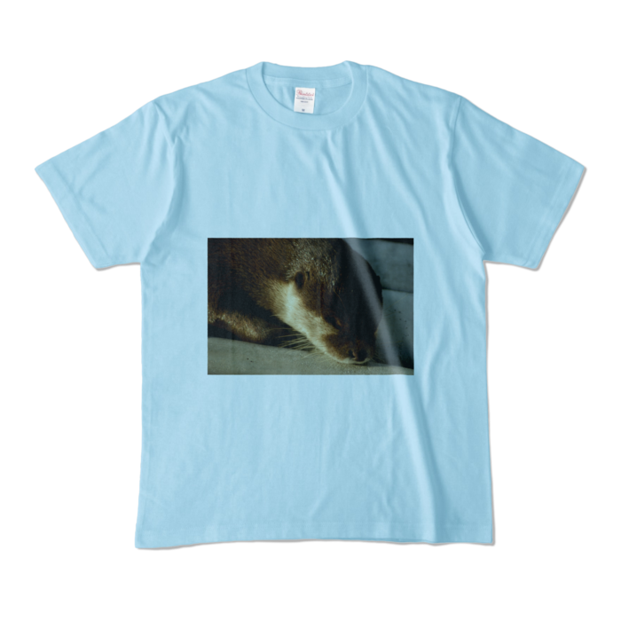 カラーTシャツ - M - ライトブルー (淡色)