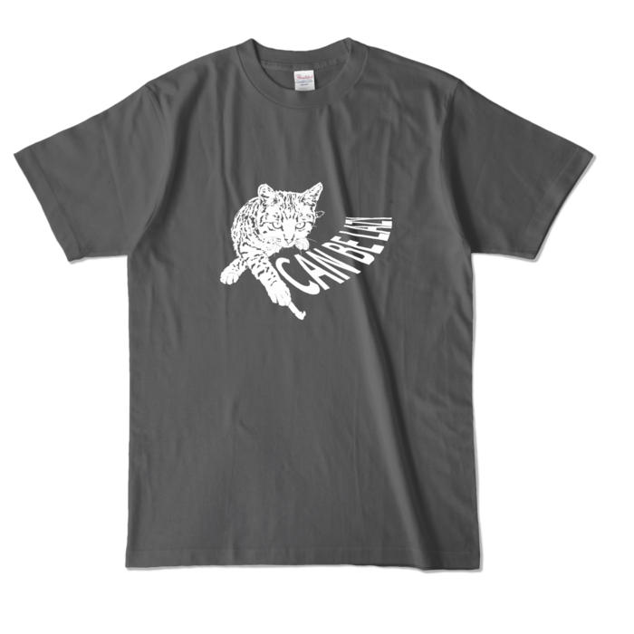 カラーTシャツ - L - チャコール (濃色)