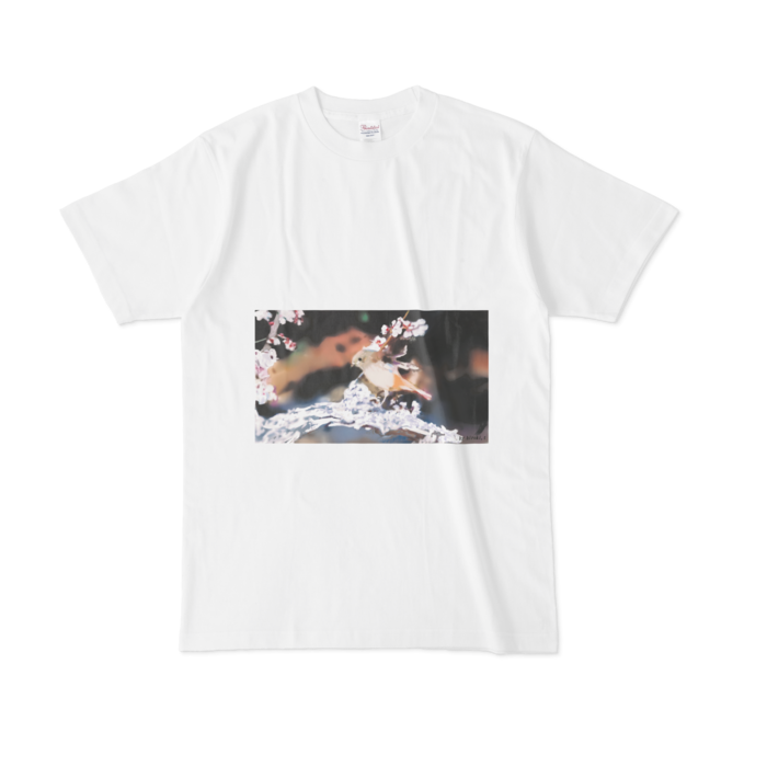 Tシャツ - L - 正面