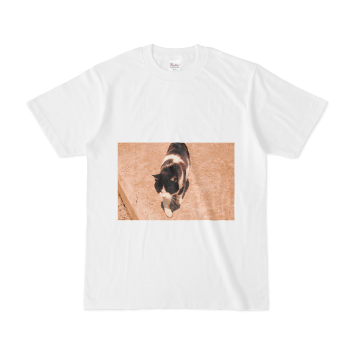Tシャツ - S - 白