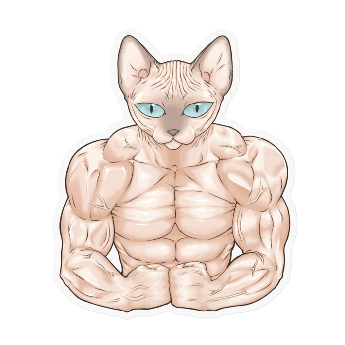 ステッカー - 100 x 100 (mm)