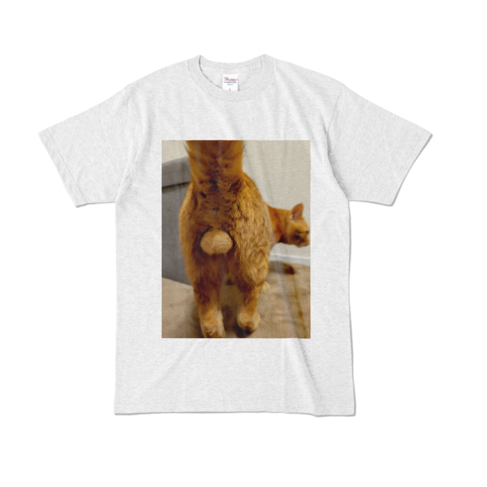 カラーTシャツ - L - アッシュ (淡色)