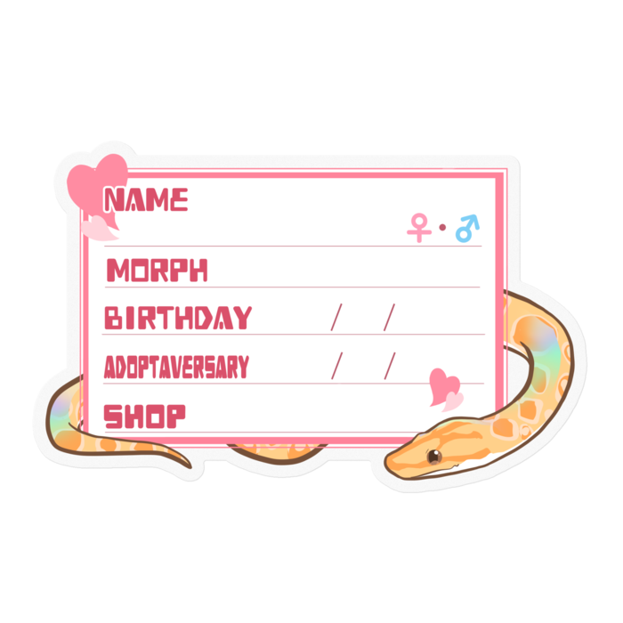 【🐍お名前ステッカー】ブラニジ(アルビノ) ‐ ハート／ピンク(英語)