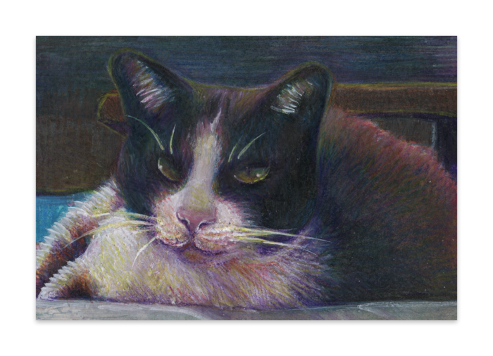 ポストカード(10枚セット) - 竹はだGA180kg