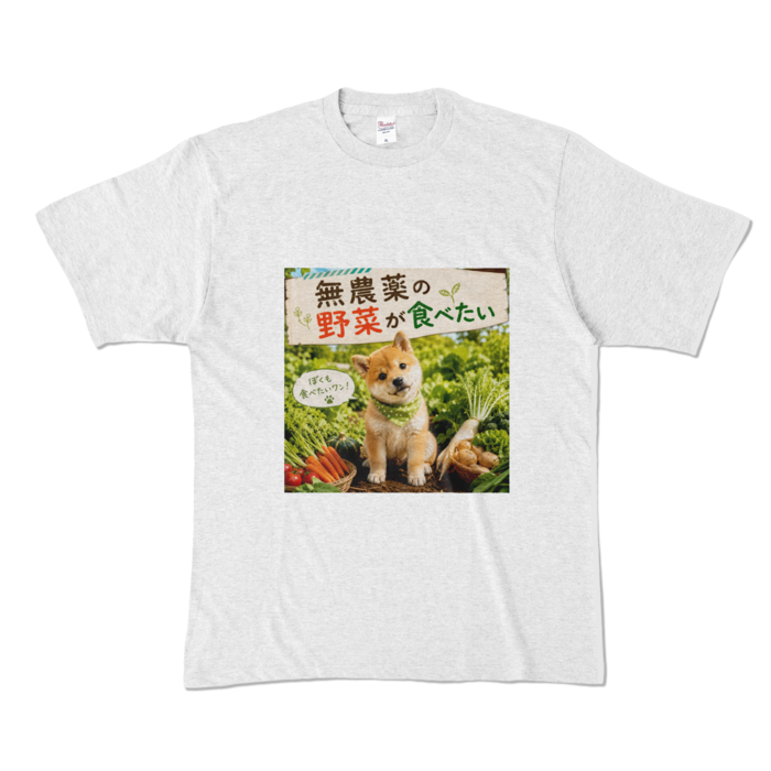 カラーTシャツ - XL - アッシュ （淡色）