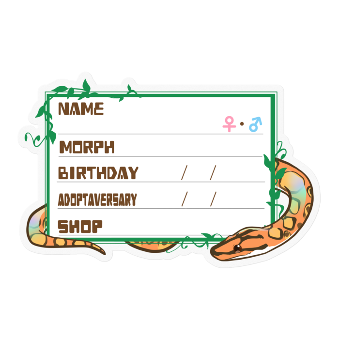 【🐍お名前ステッカー】枠11種類 ブラニジ(ノーマル) ‐ツタ(英語)