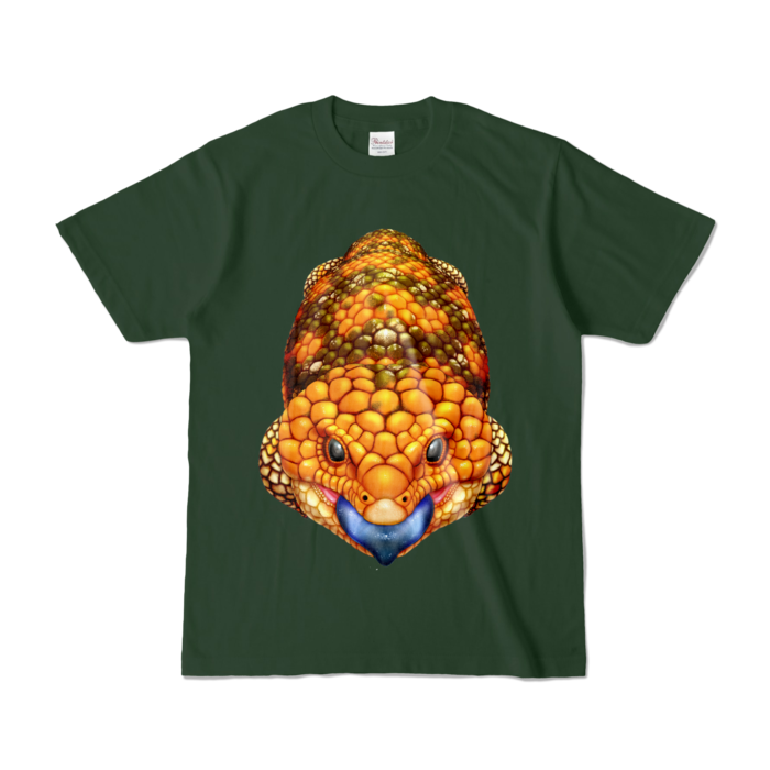 カラーTシャツ - S - フォレスト (濃色)