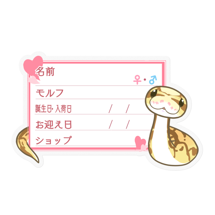 【🐍お名前ステッカー】ボールパイソン(クイーンビーミニ) ‐ハート／ピンク
