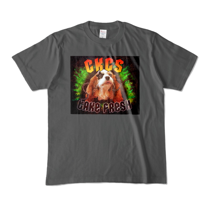 カラーTシャツ - M - チャコール (濃色)